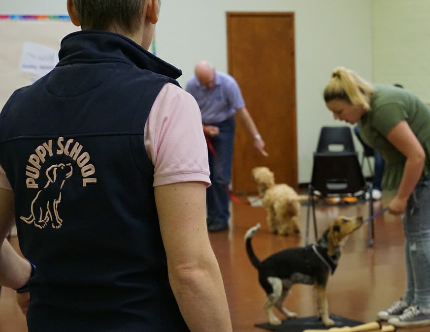 Caroline at dog training with Puppy School logo top