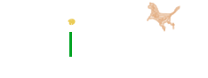 Daisy Dog Training logo